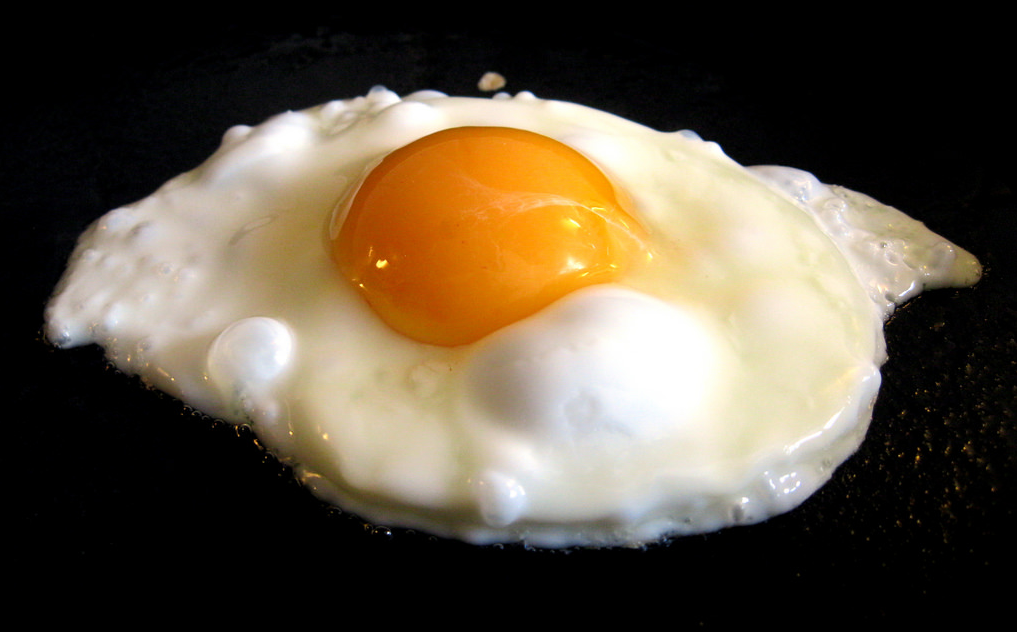 FriedEgg